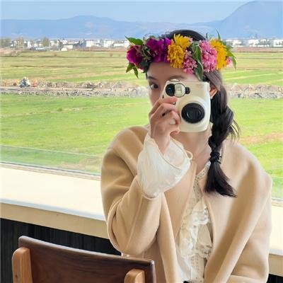 冰岛荒岛遇险记 在线观看封面