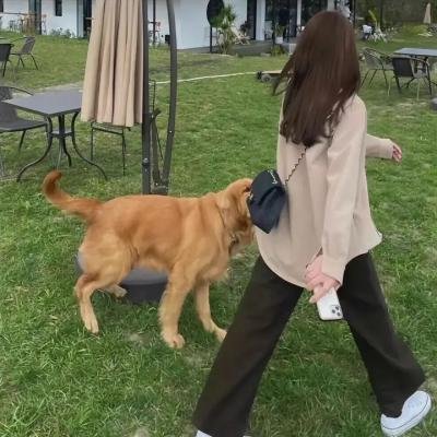 爸爸当家第三季 在线观看封面